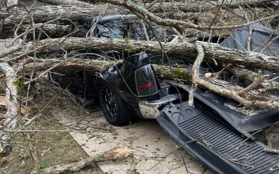 Case Studies 3 Emergency Tree Removal in Alpharetta GA| Certified Same-Day Help