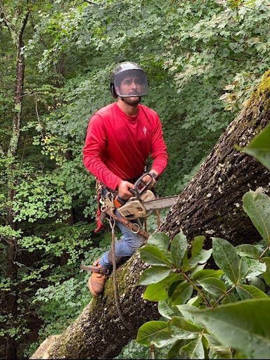 Storm-Damaged Hardwood Tree Safely Removed by J's Woodpecker Tree Service in Dallas, GA 2 Emergency Tree Service in Dallas