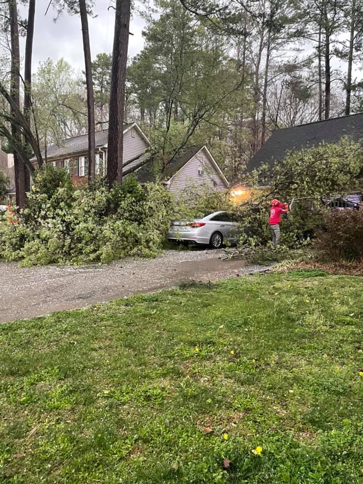 Emergency Tree Service in Douglasville
