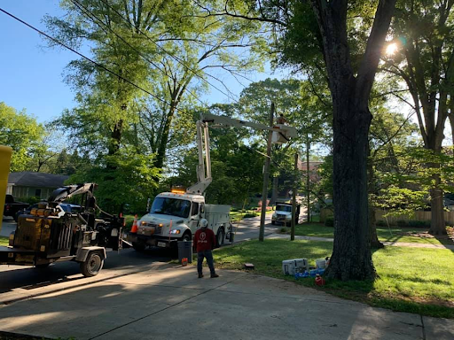 J's Woodpecker Tree Service Provides Top-Notch Power Line Tree Trimming in Acworth, GA 1 Power Line Tree Trimming in Acworth, GA