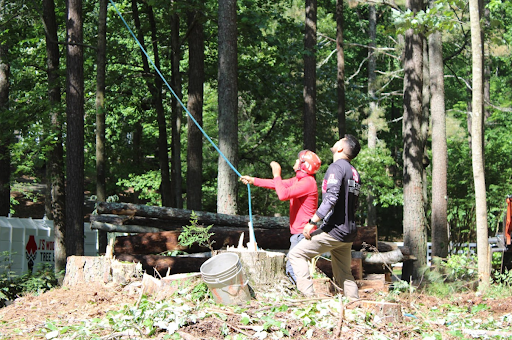 Property Clear Out in Acworth