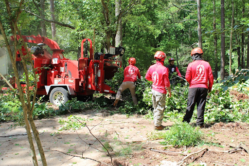 Property Clear Out in Acworth