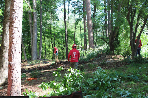 Property Clear Out in Acworth