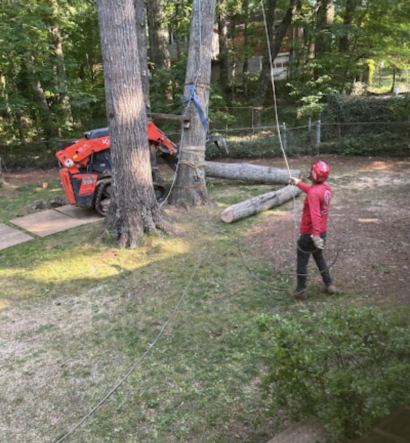 Screenshot 2025 05 04 at 21.47.06 - J's Woodpecker Tree Service