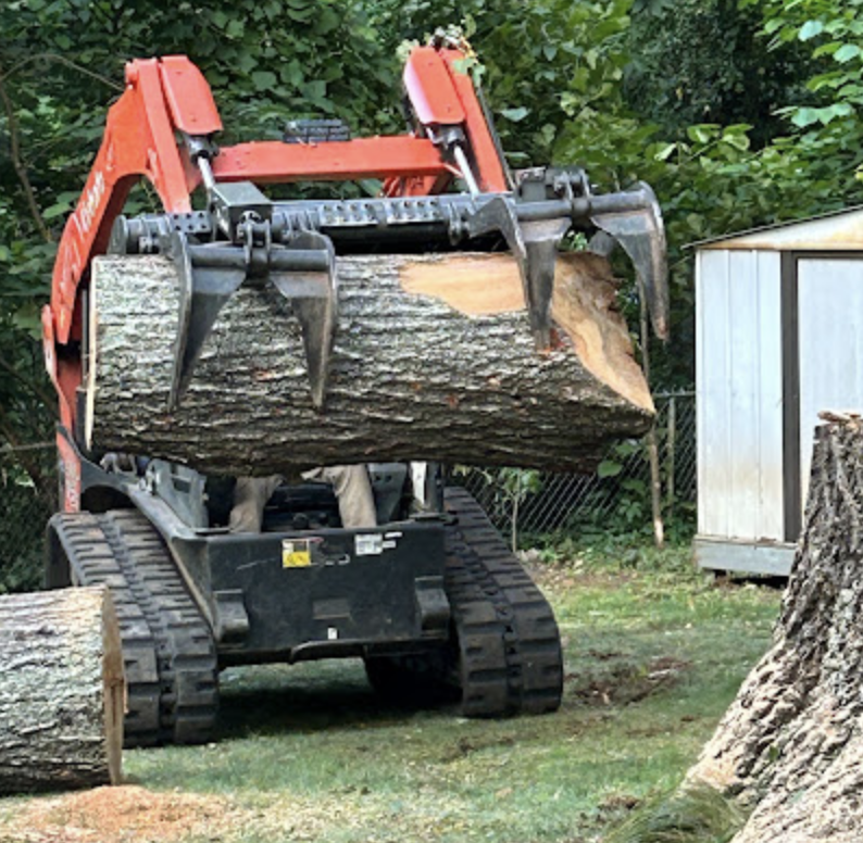 Screenshot 2025 05 04 at 21.47.26 - J's Woodpecker Tree Service