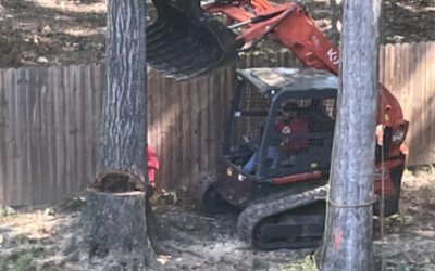 Case Studies 1 Safe and Professional Silver Oak Tree Removal by J’s Woodpecker Tree Service in Marietta, GA