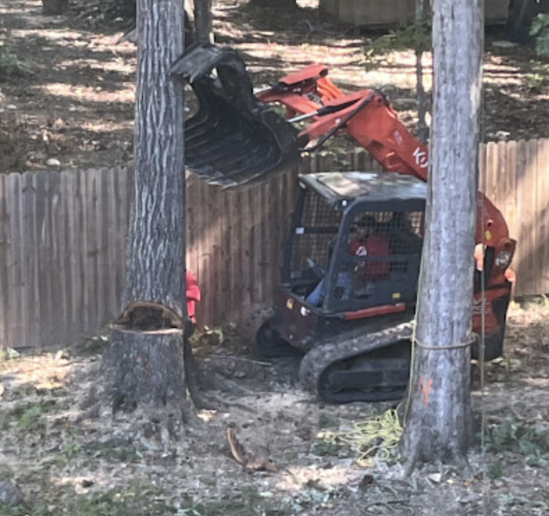 Screenshot 2025 05 04 at 21.56.12 - J's Woodpecker Tree Service