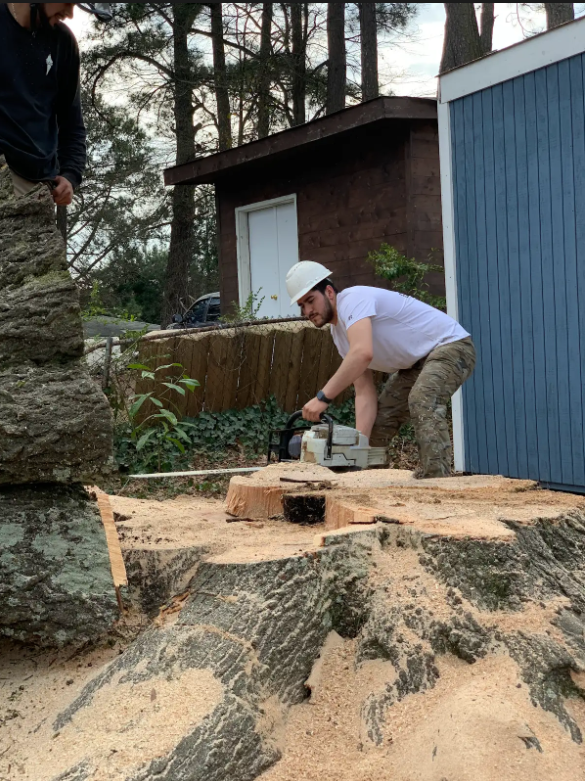 Large tree near house in Acworth, GA before removal