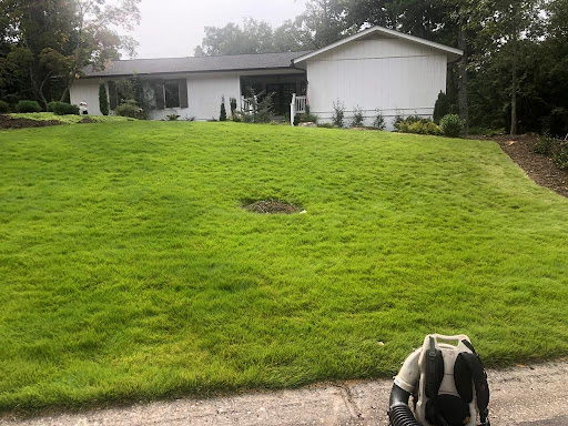 Tree Removal in Canton