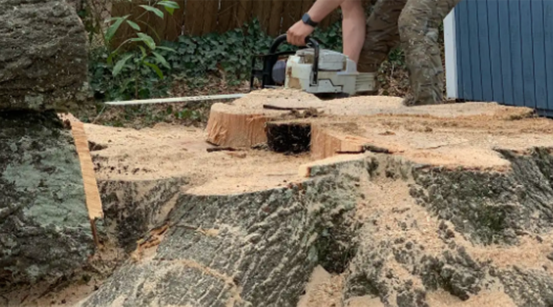 How Long Does It Take To Grind a Tree Stump?