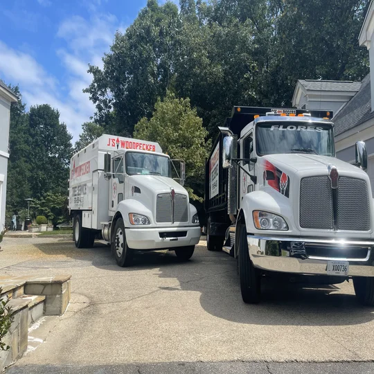 Trucks before a stump grinding in Canton, GA