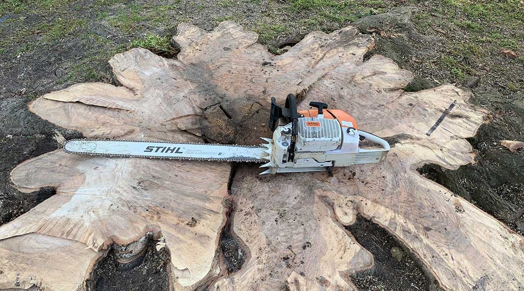 What’s the Difference Between Stump Grinding and Stump Removal?