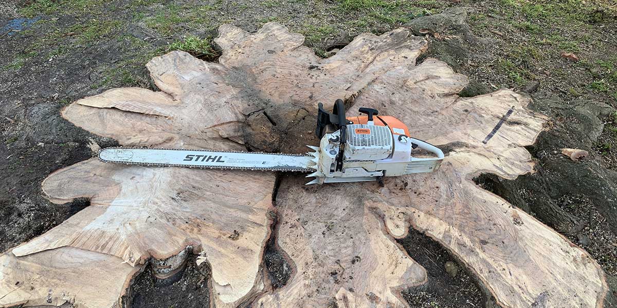 stump removal vs grinding