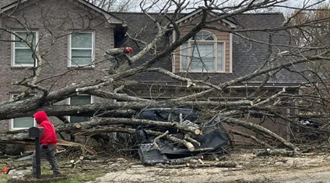 Who Is Responsible for a Fallen Tree in Hiram, GA?